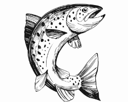 Callawassie_Fishing_ Sketches