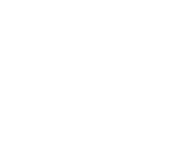 White_Palm_trees